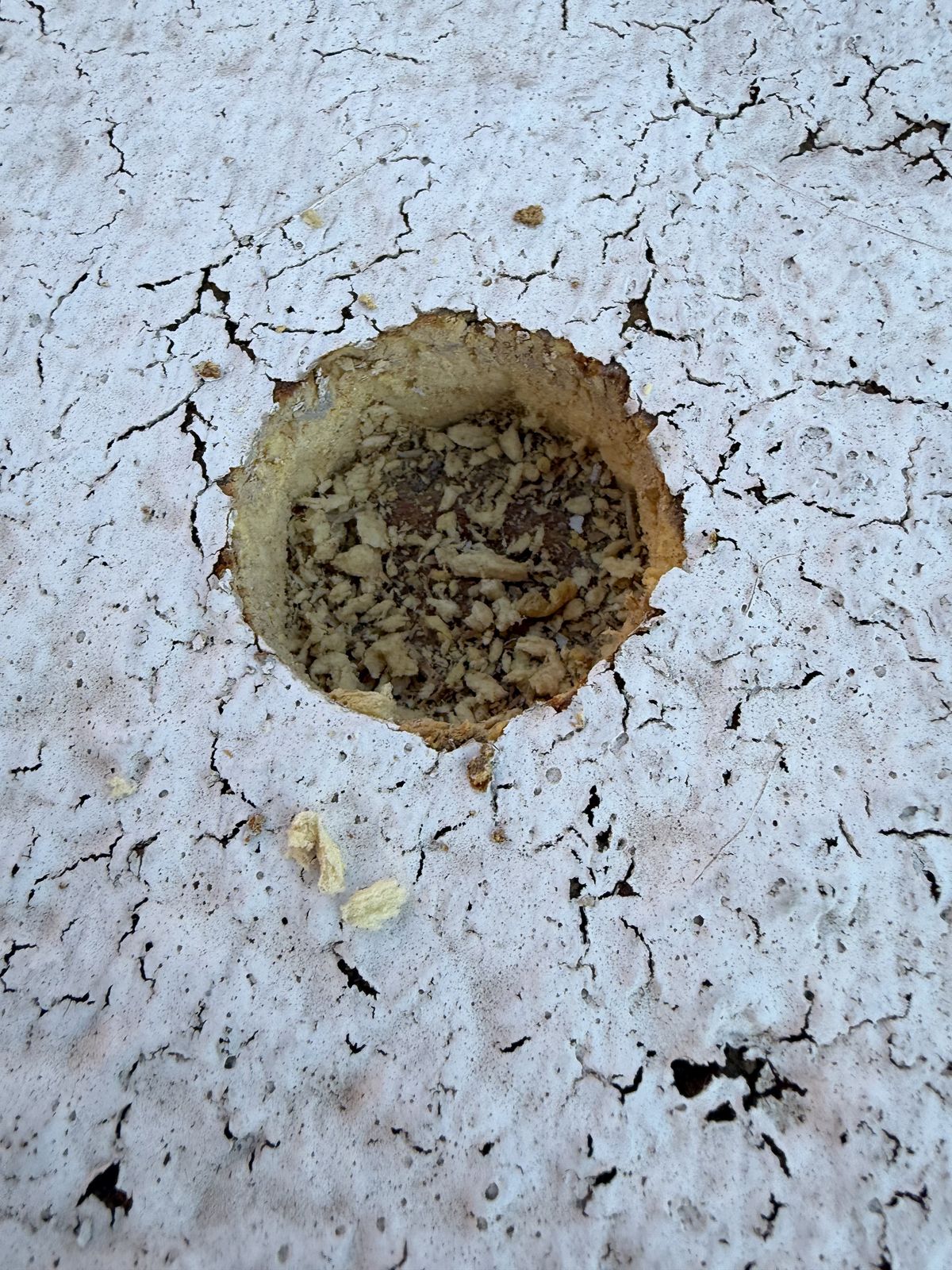 Close-up of the old flat-roof coating, crazed and cracked open to the layer beneath